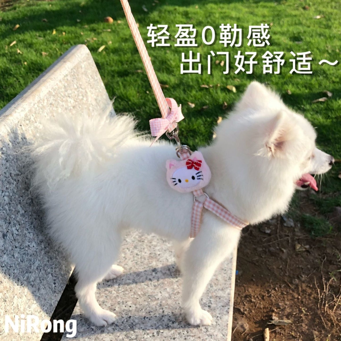 メガ割犬牽引ロープベスト式アニメ屋外散歩犬牽引ロープ小型中型犬犬チェーン犬ロープテディ博美973