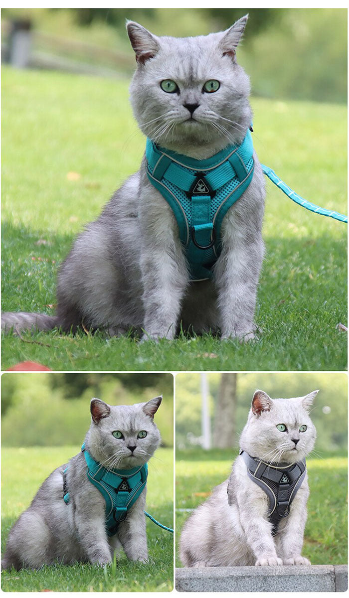 ハーネス 衝撃吸収 キャット 胴輪 1.5m フルカバー ペット 服 犬 猫 ドッグ メッシュ ウェアハーネス 体に優しい リード