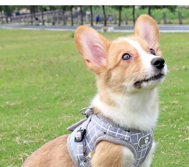 背心式犬牽引紐テディ比熊小型犬胸背ドッグラン子犬チェーンペット用品