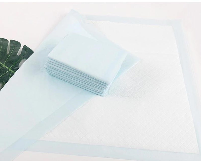 <a href="https://www.qoo10.jp/gmkt.inc/Search/brand.aspx?brandno=109151" target="_blank" class="title_brand" id="btn_brand" title="Honeycare">Honeycare</a>ペットシーツ 薄型 ペットシート 犬猫 サイズ選択可 レギュラー800枚 ワイド400枚 スーパーワイド200枚