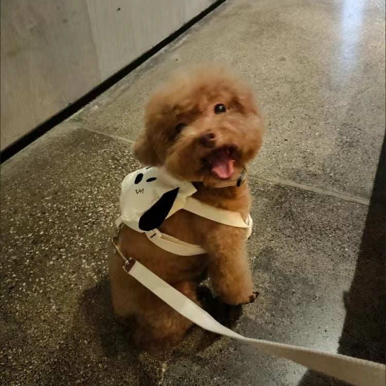 ペットの外出はかわいいですリュックサックの小型カバンは熊のテディの牽引紐の子犬の猫より可愛いです
