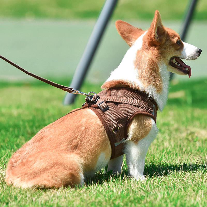 犬 小型犬中型犬 おしゃれな 苦しくない 高級秋冬物 4カラー 脱げない ハーネスリード