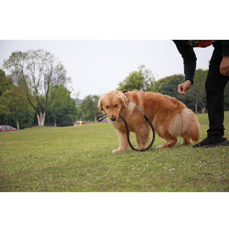 犬用 首輪 リード 大型犬 中型犬 ペットリード 革 レザー メタル スプリング付き 衝撃緩和 錆に強い 丈夫 頑丈 ちょっぴり かっこいい