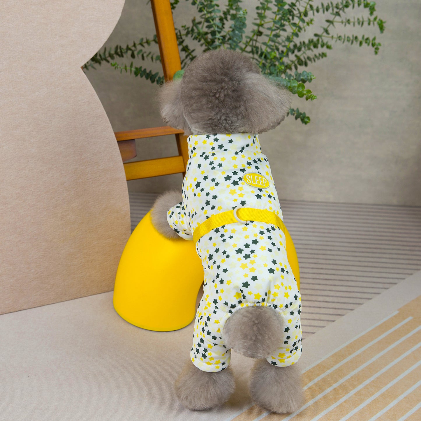 人気犬の服ペットの服小型犬猫は秋と冬に着用することができます暖かく快適な小さな五つ星の四つ足の綿のコート
