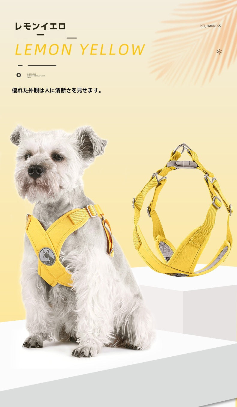 沸騰新柄追加 ハーネス リード 2点セット リーシュ付き 胴輪 ペット用 犬 ドッグ 猫 キャット 牽引紐 動物 小型犬 中型犬 おしゃれ かわいい お散歩グッズquma