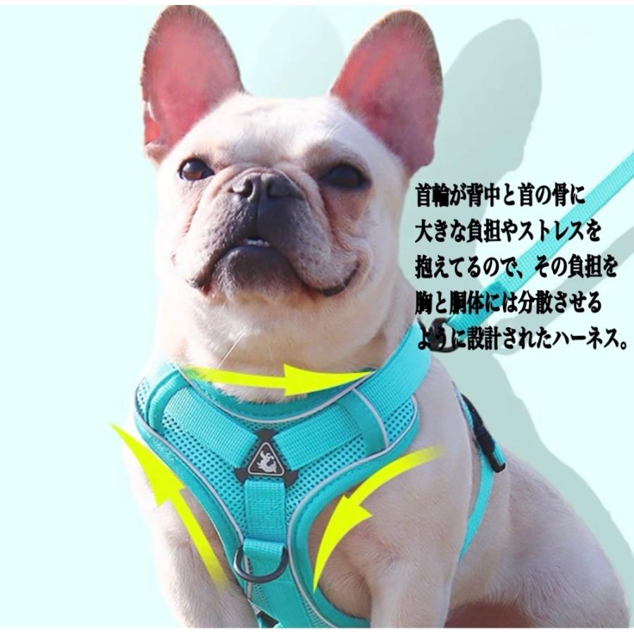 新商品プロモーション,数量限定 犬 犬ハーネス ハーネス リード付き 犬用 猫用 ペット しゃれ 脱げない かわいい 小型 中型 大型 メッシュ 胴輪 散歩 簡単装着 軽量 春 夏 秋 冬 かわいい