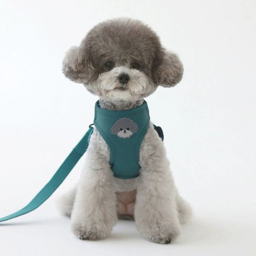 韓国版の中で小型の犬のテディは熊のコーキに比べて外出して犬を散歩します メガ割ワンピースパンツトートバッグ