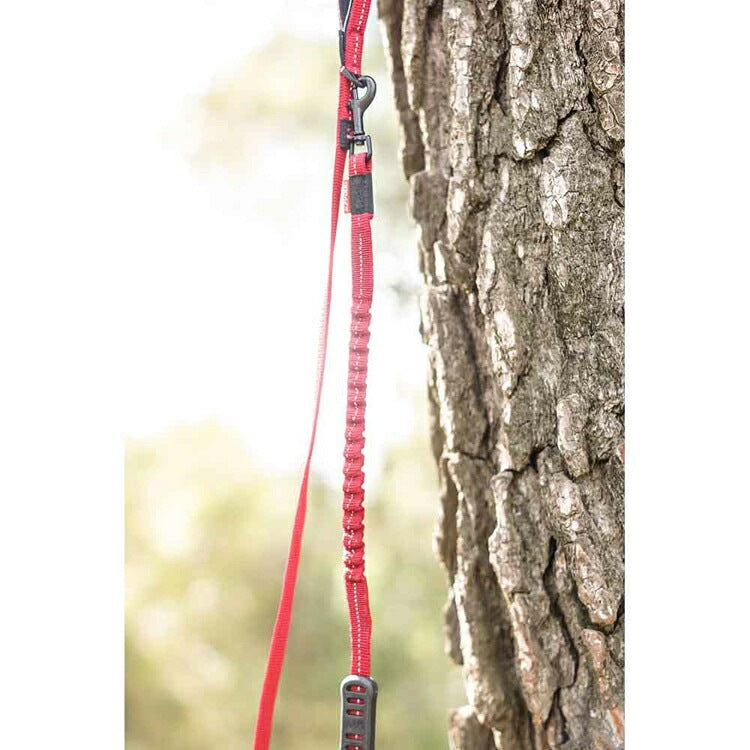 【人気商品】EZ リード ゼロショックライト 120cm EZYDOG