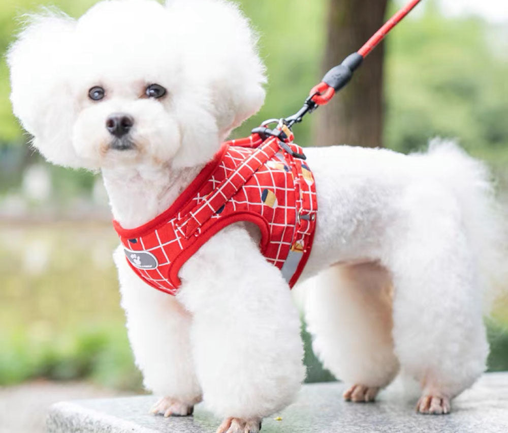 犬 XS ハーネス カラフル M おしゃれ S 小型犬 L 犬用ハーネス かわいい ワンタッチタイプ 着脱しやすい 胴輪 負担の少ない アウトドア 中型犬
