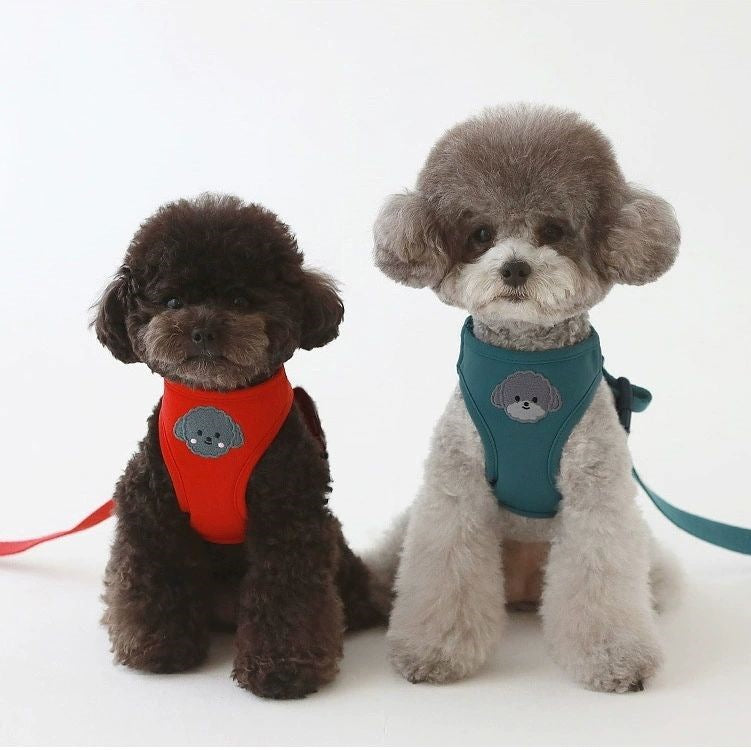 韓国版の中で小型の犬のテディは熊のコーキに比べて外出して犬を散歩します メガ割ワンピースパンツトートバッグ