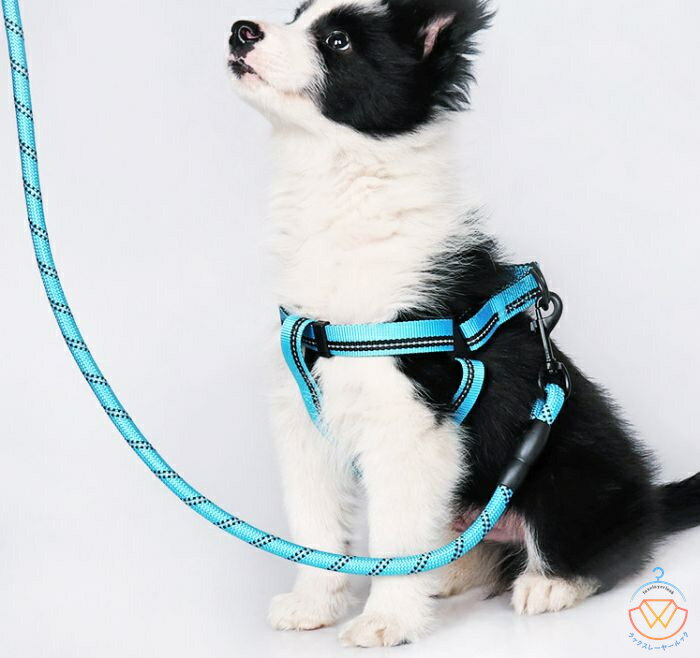 高品質新入 犬もリード 犬用 リード 小型犬 中型犬 大型犬 持ちやすい ソフトハンドル おしゃれ 首輪 おしゃれ 幅0.8cm 幅1.0cm 幅1.2cm 全長150cm ハーネス オシャレ ショル