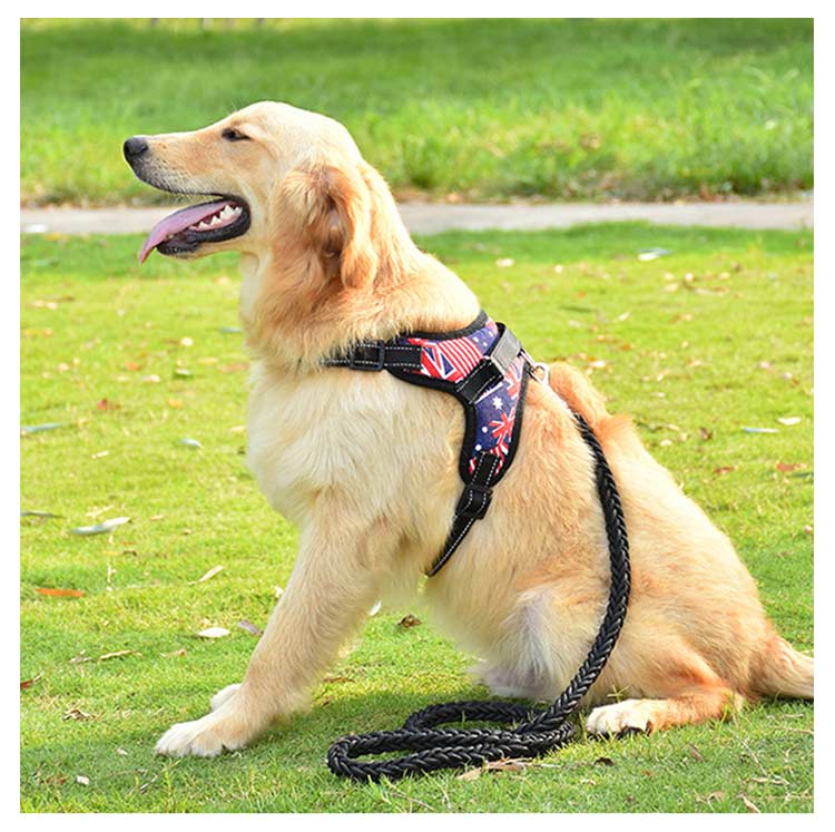 キャンペーンハーネス 犬 大型犬 柴犬 3点セット 抜けない 小型犬 調整可能 ハンドル付き 抜けにくい ハーネスリードセット 3点セット ステップハーネス 脱出防止 ウェアハーネス 犬用 ペットハー
