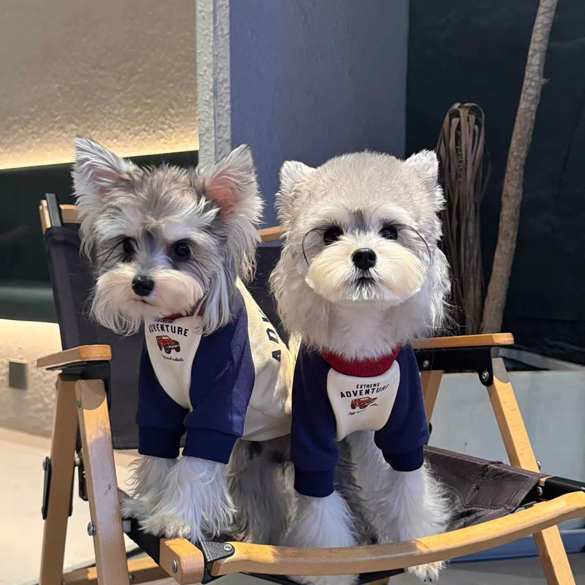ペット 猫 犬の服 秋と冬 シュナウザーの服 パッチワーク タイド スウェット テディ ビションフリーゼ 犬 服 犬の服 犬 洋服 犬の服夏 犬洋服