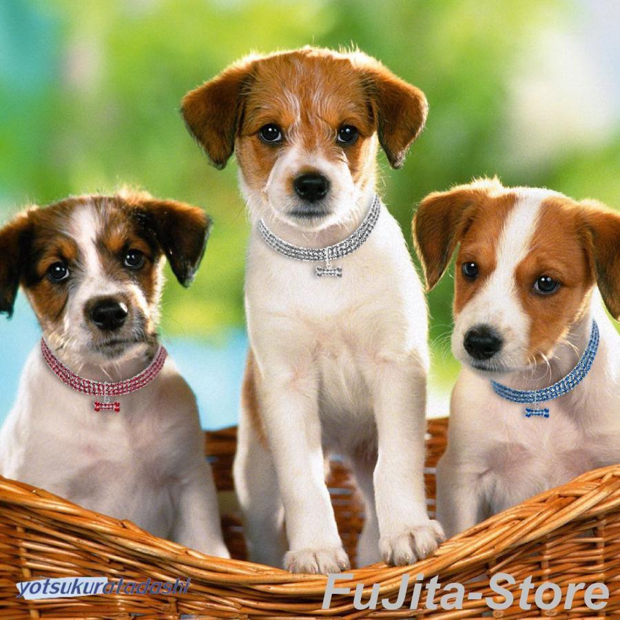 人気商品,犬 ネコ アクセサリー 可愛い 目印 ラインストーン 写真撮影 エレガント