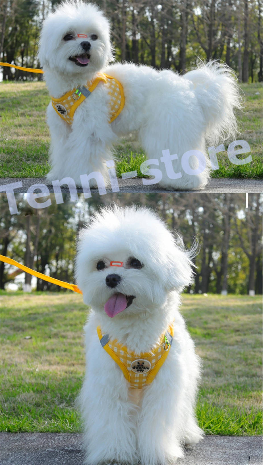 今週の新製品 タイムセール アウトレット 犬 猫 ハーネス 小型犬 中型犬 猫用 ネコ ウェアハーネス ハーネス&リードセット 犬ハーネス 抜けない 一体型 かわいい 簡単着脱 在庫が限られている在庫