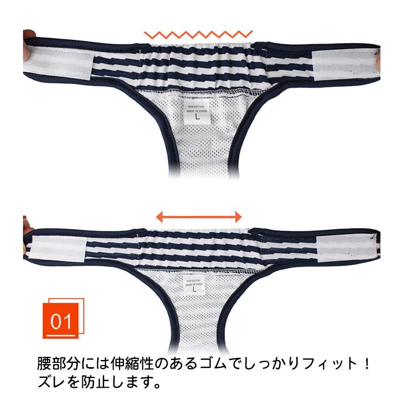 しつけ マナーバンド ボーダー マナーパンツ オムツカバー 介護 ドッグウェア マーキング防止 トイレ 犬 サニタリーパンツ 犬の服 ゼブラ 服