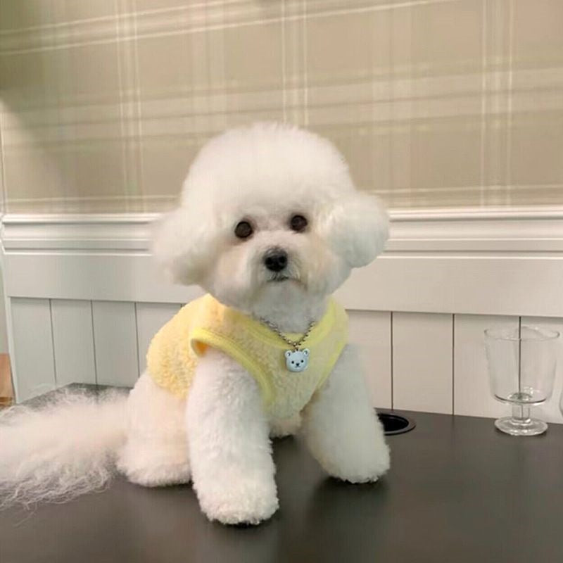 秋冬用 ブルー裏起毛厚手ベスト 防寒仕様 トイプードル ポメラニアン シュナウザー 犬 服 犬 服 犬服 犬の服 ペット用品 ハーネス 小型犬