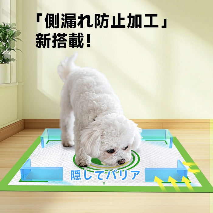 <a href="https://www.qoo10.jp/gmkt.inc/Search/brand.aspx?brandno=109151" target="_blank" class="title_brand" id="btn_brand" title="Honeycare">Honeycare</a>ペットシーツ 中厚型 柄付き レギュラー 80枚/ワイド 40枚/スーパーワイド 20枚 横漏れ防止 トイレシート 犬 猫 ペットシート おしっこシート 瞬間吸水 逆戻り防止 ペット用 しっかり超吸収