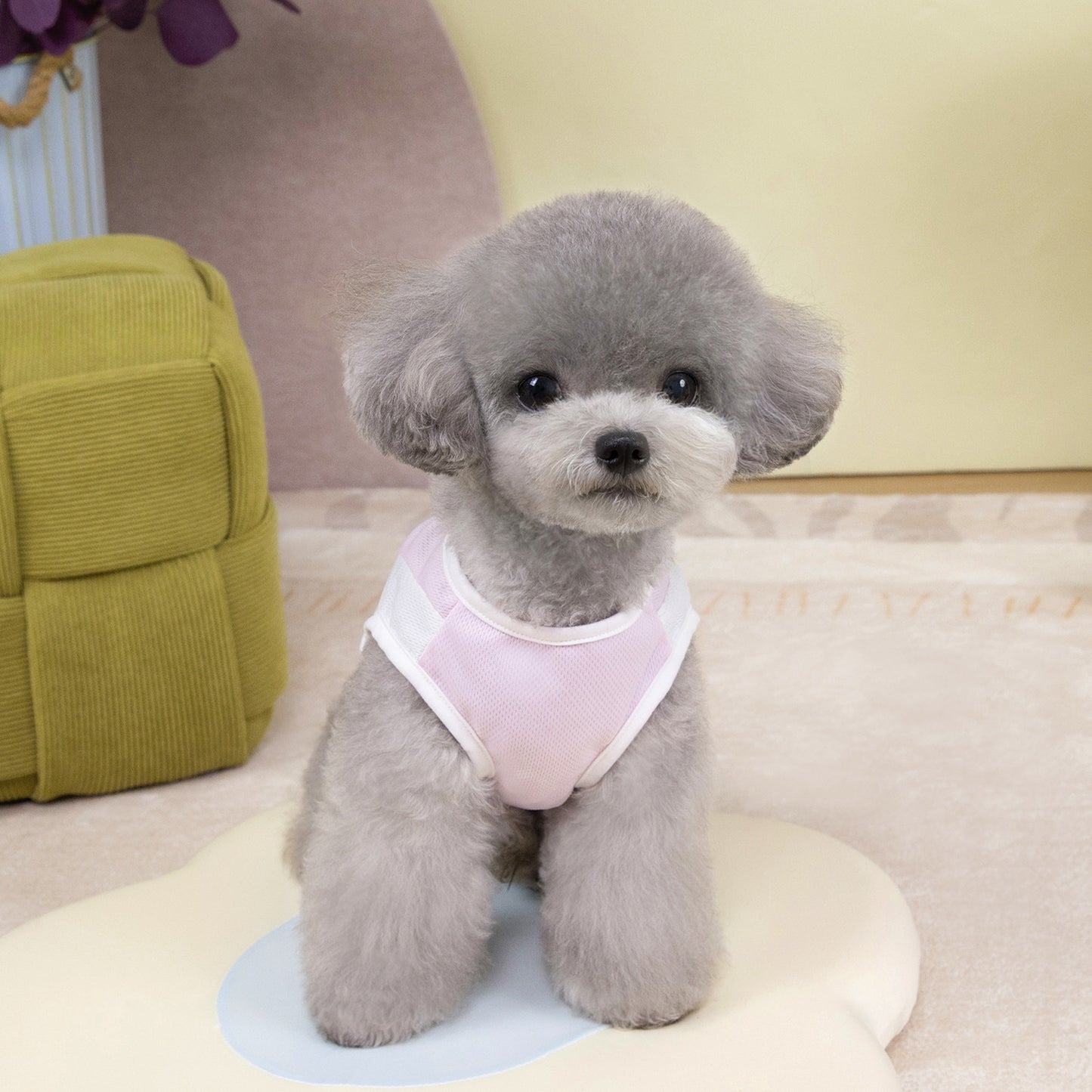 猫 犬 洋服 犬服 ペット服 大中小型犬 ペット用品 犬/猫用 犬の服 ペットウエア 小型犬 中型犬 通気 可愛い ドッグウェア トレーナー 犬 服 ワンピース サロペット ビションフリーゼ 犬猫服