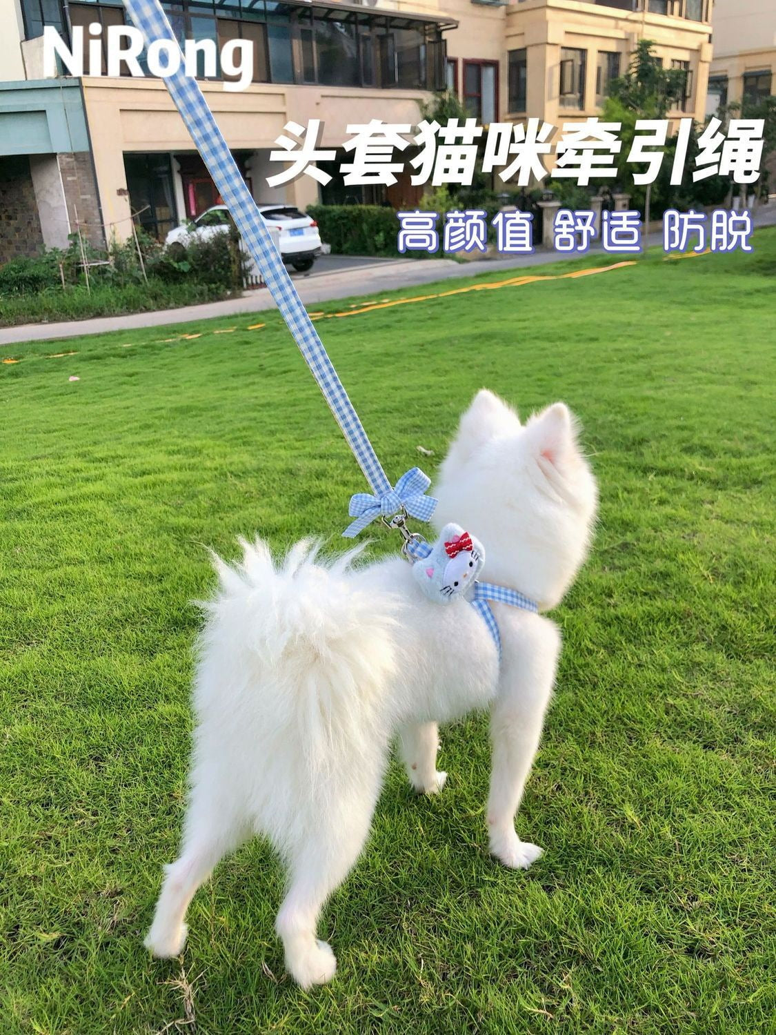 メガ割犬牽引ロープベスト式アニメ屋外散歩犬牽引ロープ小型中型犬犬チェーン犬ロープテディ博美973