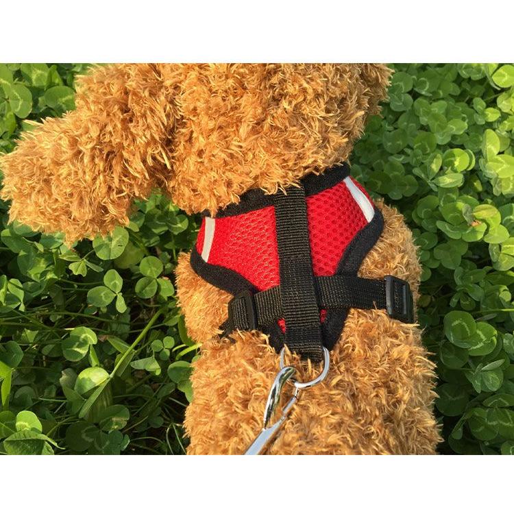 新商品プロモーション,数量限定 ペット用 犬用 ハーネスとリード2点セット 全8色 S M L XL ペット用品 型ハーネス(胴輪)&リード(引き綱) ボディストレス軽減ペット用 犬用