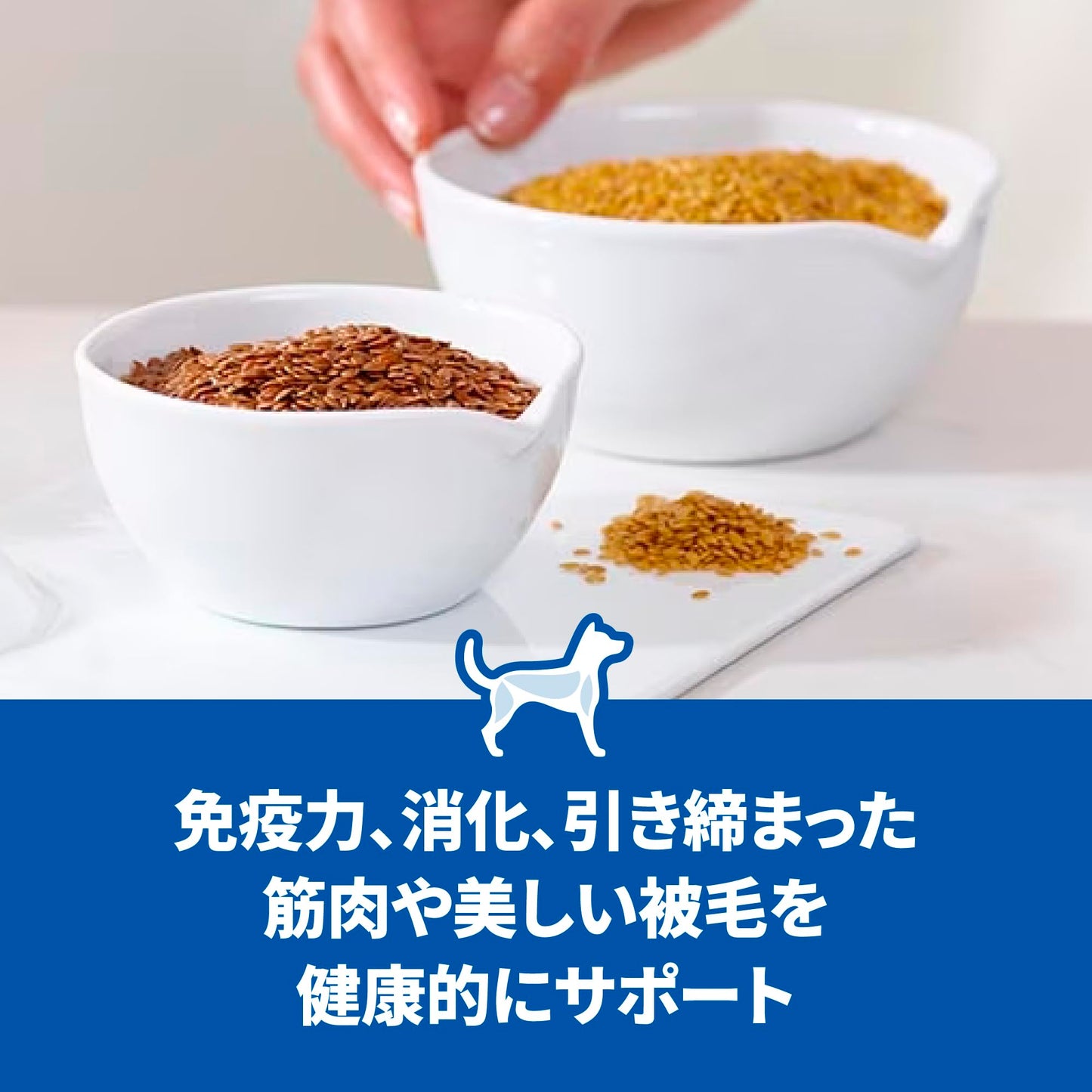 アダルト 1~6歳 中粒 チキン 6.5kg 成犬用 ドライ 大容量 大袋