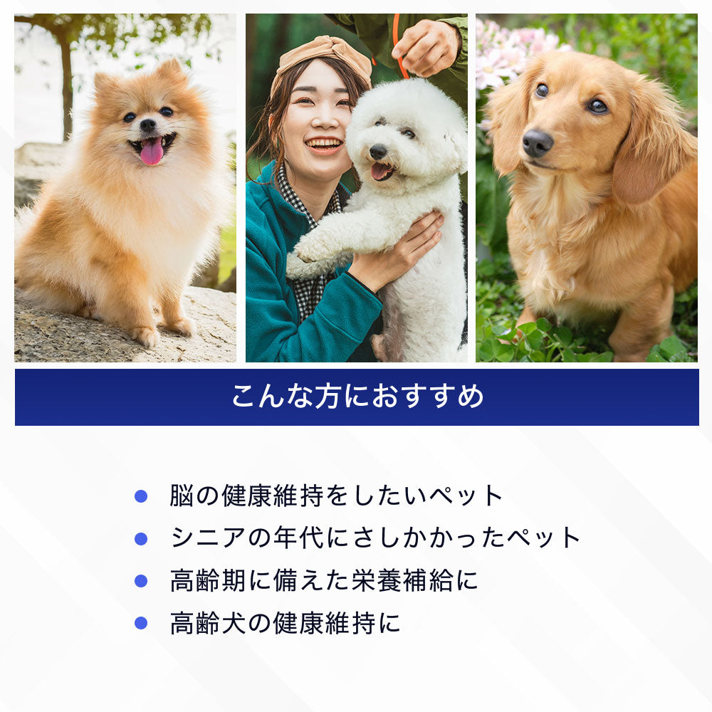 <a href="https://www.qoo10.jp/gmkt.inc/Search/brand.aspx?brandno=128060" target="_blank" class="title_brand" id="btn_brand" title="Suntory Wellness">Suntory Wellness</a>サントリー 公式 Pet Health (ペットヘルス) ARA+DHA 動物用栄養補助食品 60粒入/約20~30日分