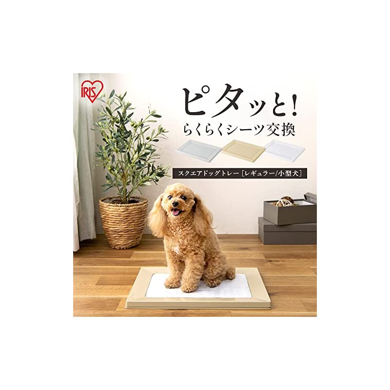 【即納】アイリスオーヤマ 犬 トイレ スクエアドッグトレー 挟むだけ マグネット レギュラー ライトグレー 水洗い可