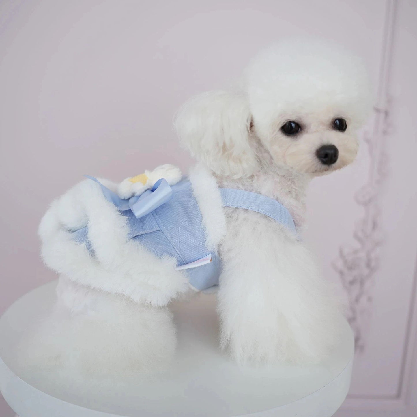 犬の服ペット犬服秋冬新作ファーボーダースリングベアドレステディビションコーギー服