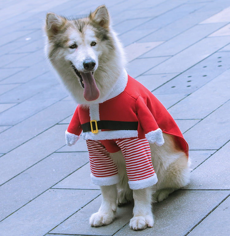 2023年新作入荷 ペット服 犬 服 Tシャツ ドッグウェア中国のビッグドッグと猫サンタクロース犬犬の犬のペット製品秋と冬の豪華なファンボディゴールデンレトリバーの変更