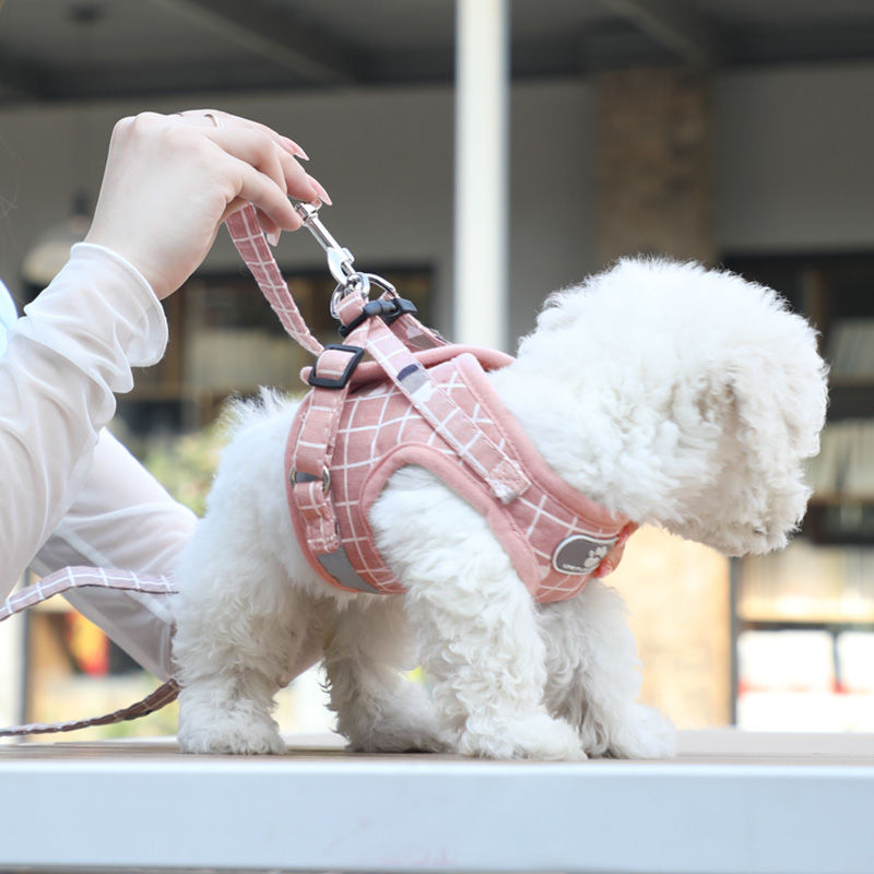 背心式犬牽引紐テディ比熊小型犬胸背ドッグラン子犬チェーンペット用品