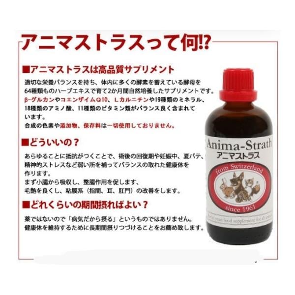 日本ビーエフ アニマストラス 100ml 液体 動物用 サプリメント 犬 猫 うさぎ モルモット 小動物 鳥 免疫力