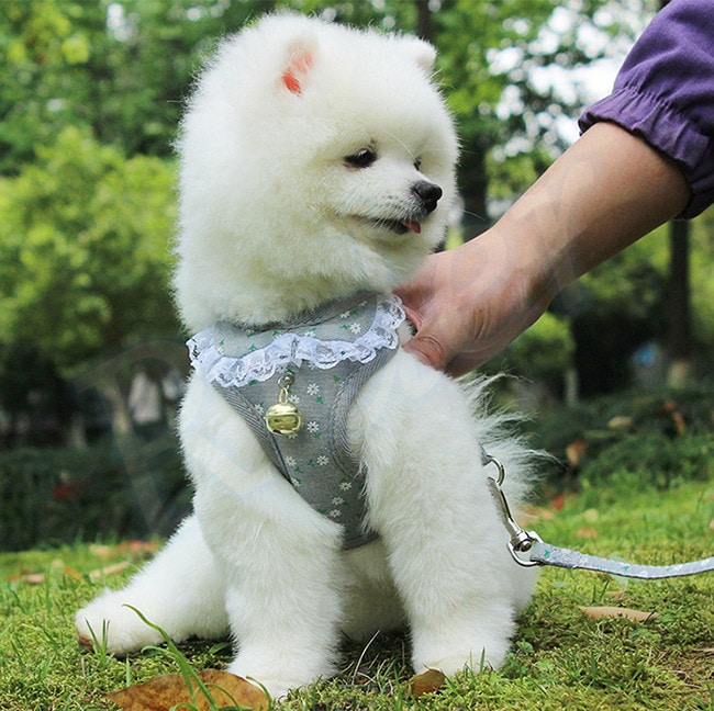 ペット用品犬の服犬用ハーネスリード3色カモフラージュストロベリーレースかわいいファッショナブルな安全482