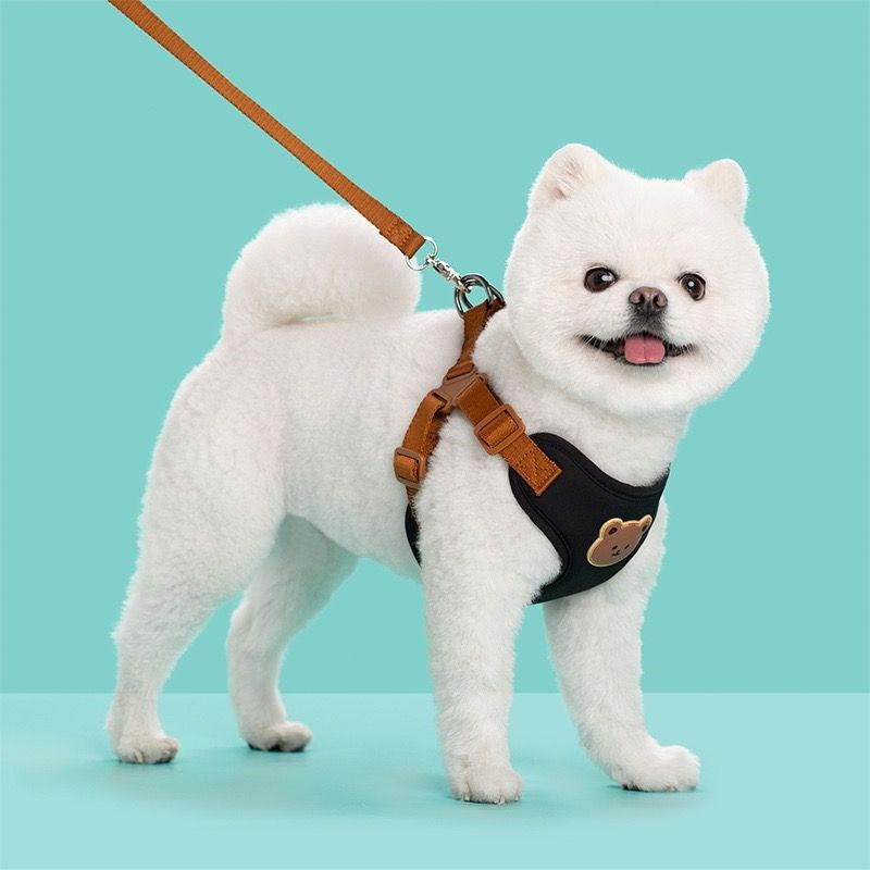 子犬の胸のベルトのベスト式の牽引ロープは犬のひもの小型犬のテディの雪の納瑞比熊を散歩します メガ割ワンピースパンツトートバッグ