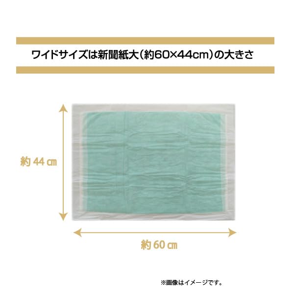 クリーンワン ダブルストップ 消臭炭シート ワイド 40枚