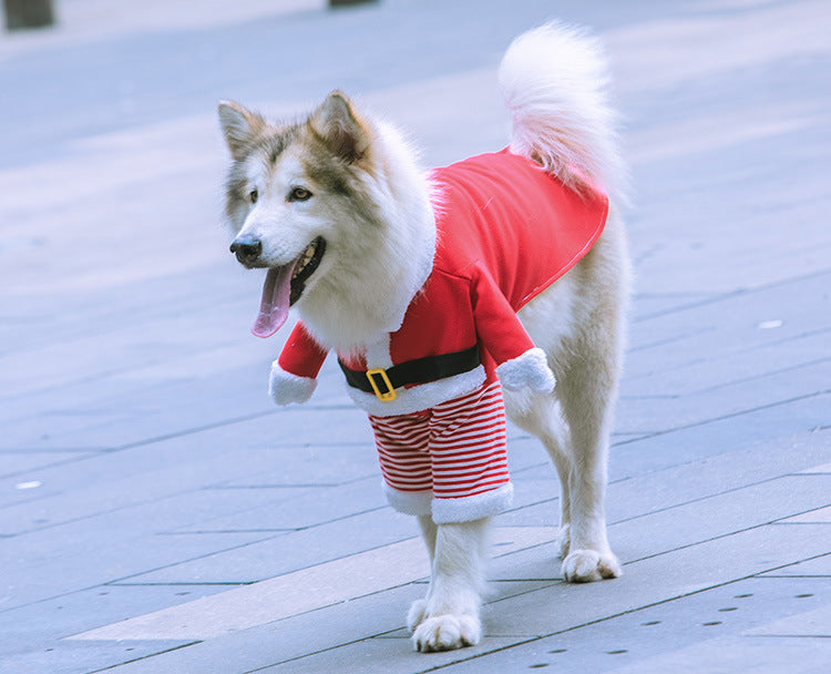 2023年新作入荷 ペット服 犬 服 Tシャツ ドッグウェア中国のビッグドッグと猫サンタクロース犬犬の犬のペット製品秋と冬の豪華なファンボディゴールデンレトリバーの変更
