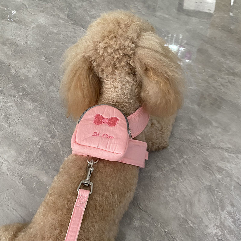かわいいペットの犬はバックパックから散歩に出かけます