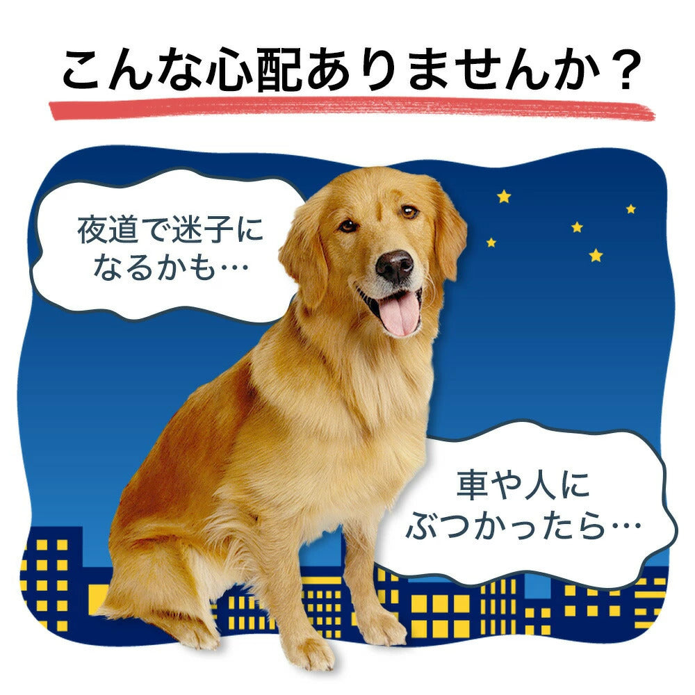首輪 犬 光る 猫 LEDライト 犬の首輪 USB充電式 ペット 小型犬 中型犬 大型犬 35cm 50cm 70cm LED ライト ペット用品 ドッググッズ