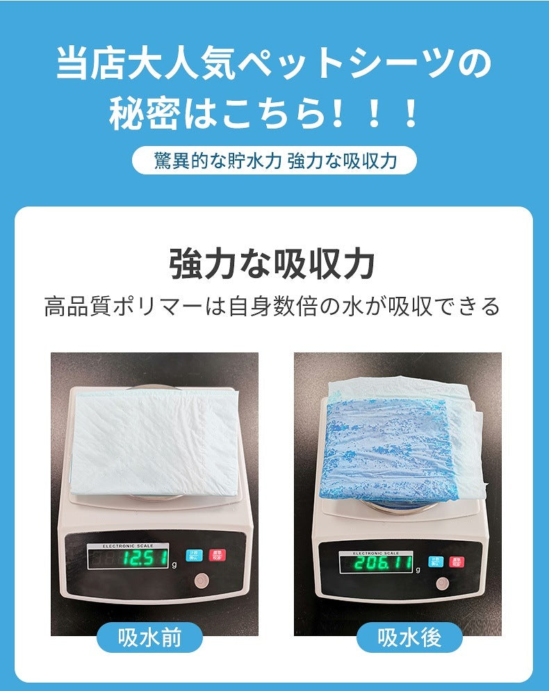<a href="https://www.qoo10.jp/gmkt.inc/Search/brand.aspx?brandno=109151" target="_blank" class="title_brand" id="btn_brand" title="Honeycare">Honeycare</a>ペットシーツ 薄型 ペットシート 犬猫 サイズ選択可 レギュラー800枚 ワイド400枚 スーパーワイド200枚