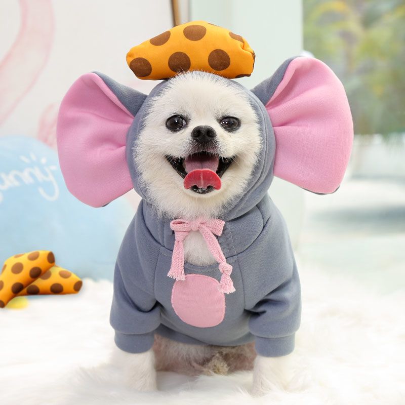 犬の服 かわいい犬の衣装 ハロウィン 仮装舞踏会 子ネズミとチーズ