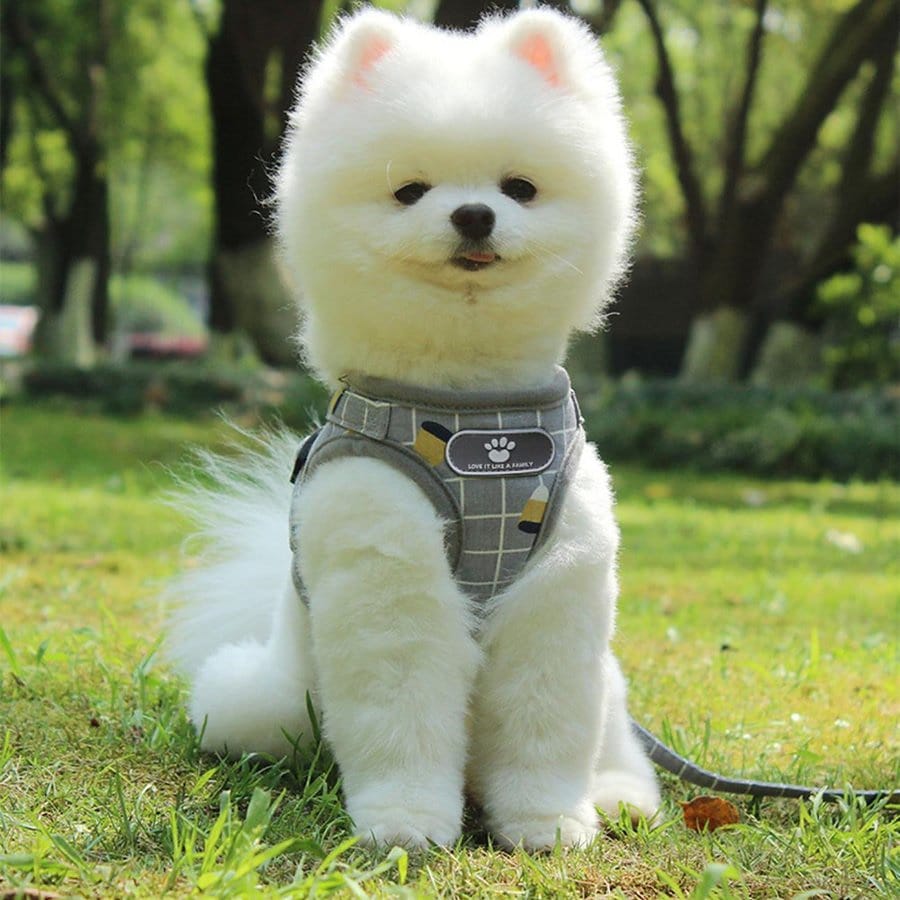 犬 ハーネス 犬用ハーネス ハーネスリード 小型犬 中型犬 脱げない 通気繊維 おしゃれ リード付き 胴輪 簡単装着 ワンタッチ