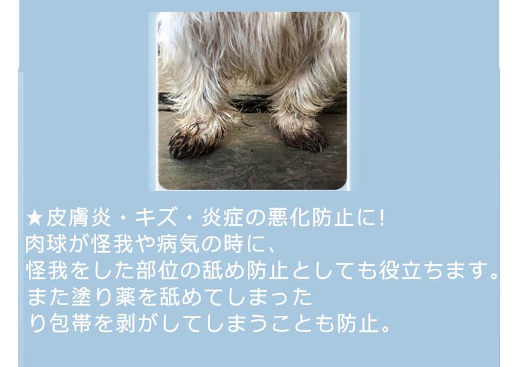メガ割 滑り止め 脱げない レインシューズ ドッグシューズ 犬シューズ 靴 犬 ドッグブーツ 犬靴 雨靴 お散歩 犬用シューズ 肉球保護 シリコン素材 レインブーツ 柔らかい ドッグレインシューズ 軽