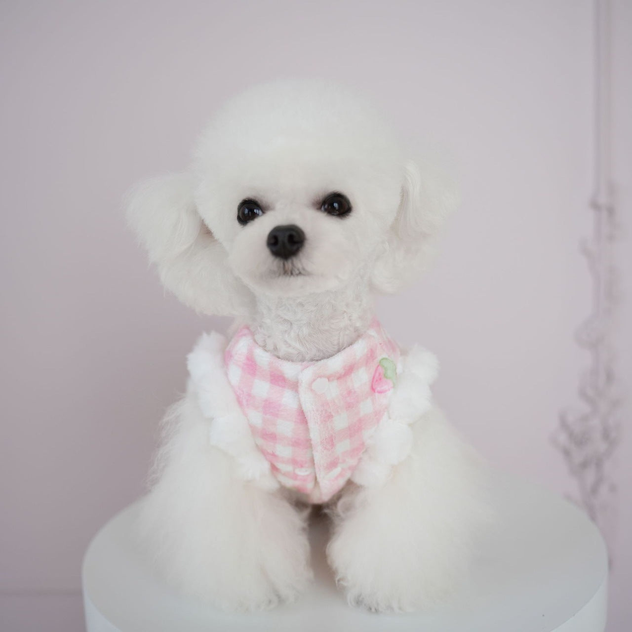 犬服秋冬新作 犬服 チェック柄 くま いちご スカート 猫 かわいい あったか スカート