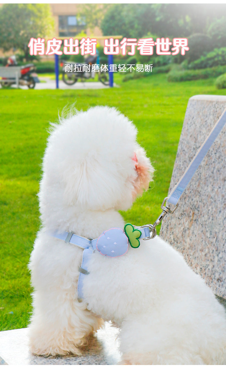 2点セット 簡単装着 犬 おしゃれ シンプル 中型犬 軽量 犬用 猫用 ペット用品 胴輪 ハーネス 小型犬 ネコ用ハーネス リード 45 ハーネスリードセット ペットハーネス リーシュ お出かけ お散
