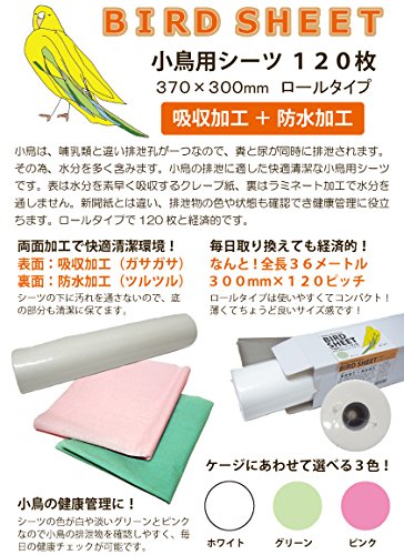 P2&アソシエイツ 小鳥用シーツ 120枚 ピンク