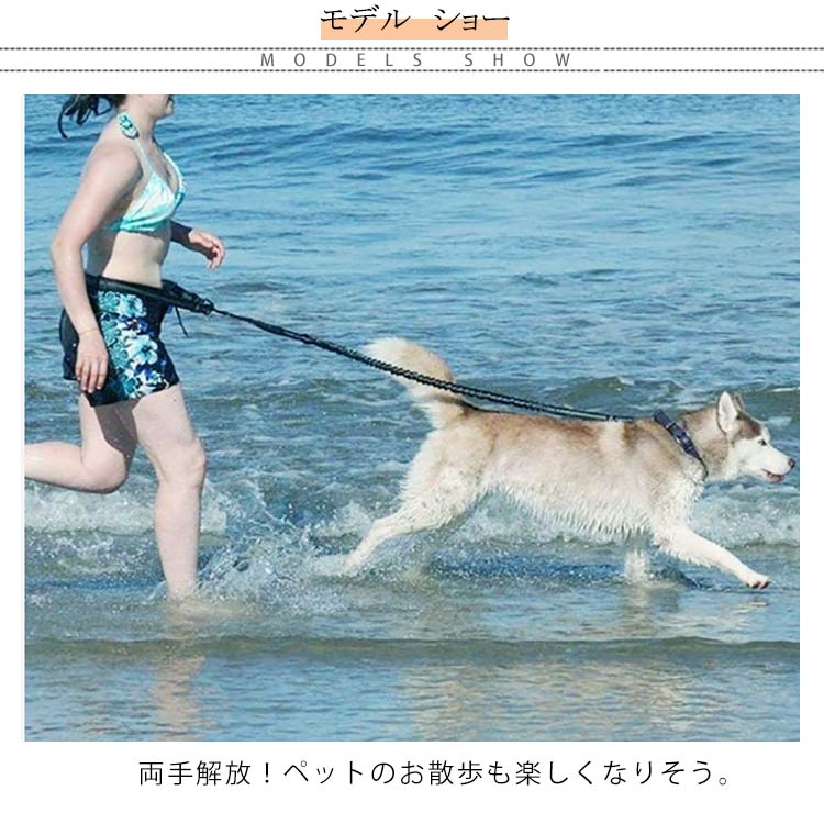 両手解放!ウェストリード リード 犬 大型犬 外れない 防止 中型犬 ハンズフリー 大型犬 ダブルリード 小型犬 伸縮可能 スポーツ 延長 ハンドル付き 光反射 夜安全