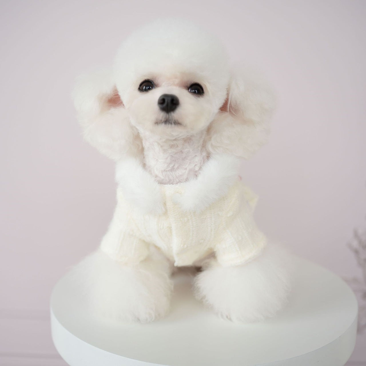 犬服ペット猫服かわいいソフトウールふくらませドレス快適ソフトもちもち冬居心地の良い暖かい服