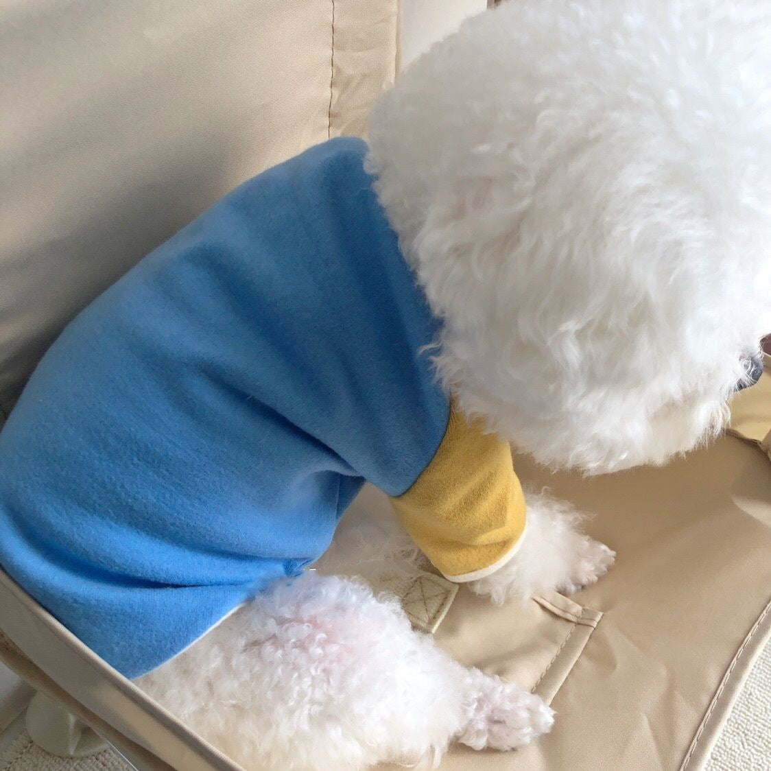 韓国 ペットウェア 新しい切り替えペット冬服 暖かいゆったりペットウェア シンプル中型犬服 可愛い