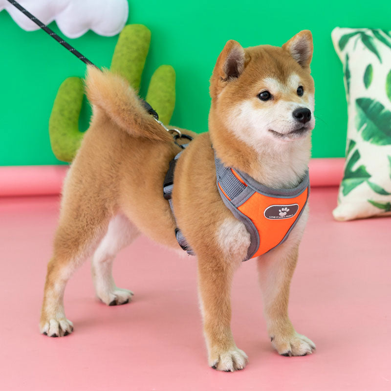 ペットハーネス BL-852 小型犬 中型犬 大型犬 ペット 犬 ハーネス 胴輪 ドッグ 犬用 メッシュ ベスト型 ソフトベストハーネス ベストハーネス