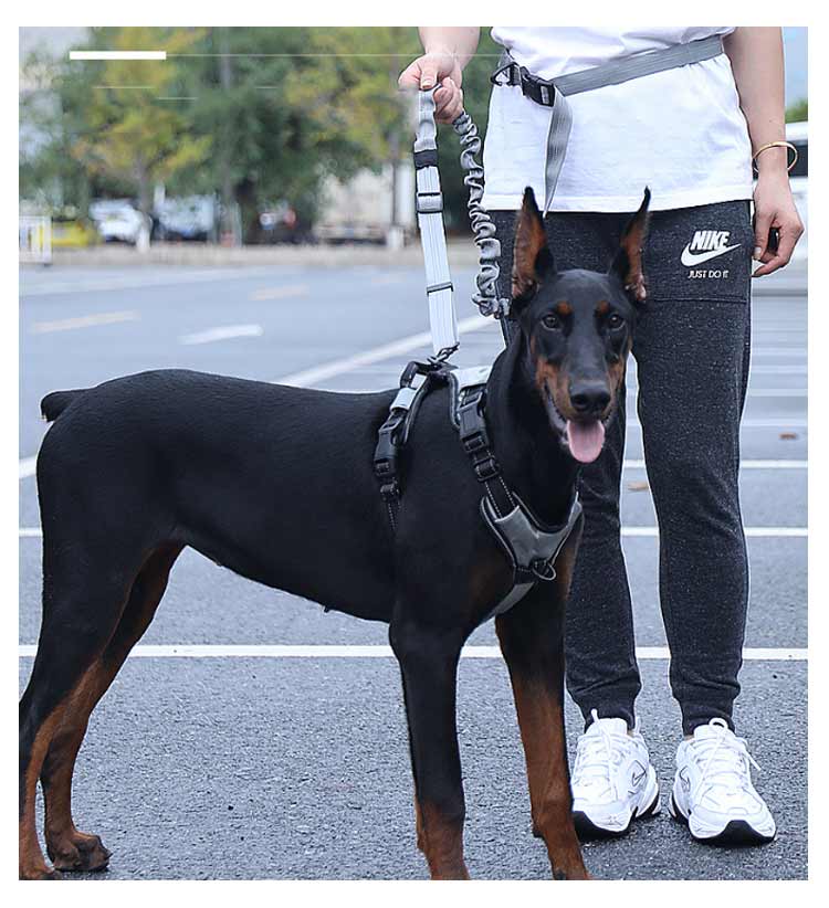 高い人気 リード 犬 ハンズフリー 腰に巻ける 肩掛け 犬リード 大型犬 中型犬 小型犬 しつけ用リード 犬と一緒にランニング/ジョギング/散歩用 ベルト ショルダー ポール留め マルチ ペット用品